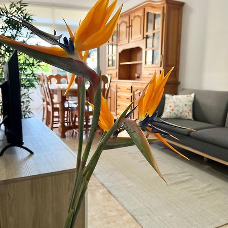 Appartamento Piso Centrico Corazon De Aridane Los Llanos De Aridane Esterno foto